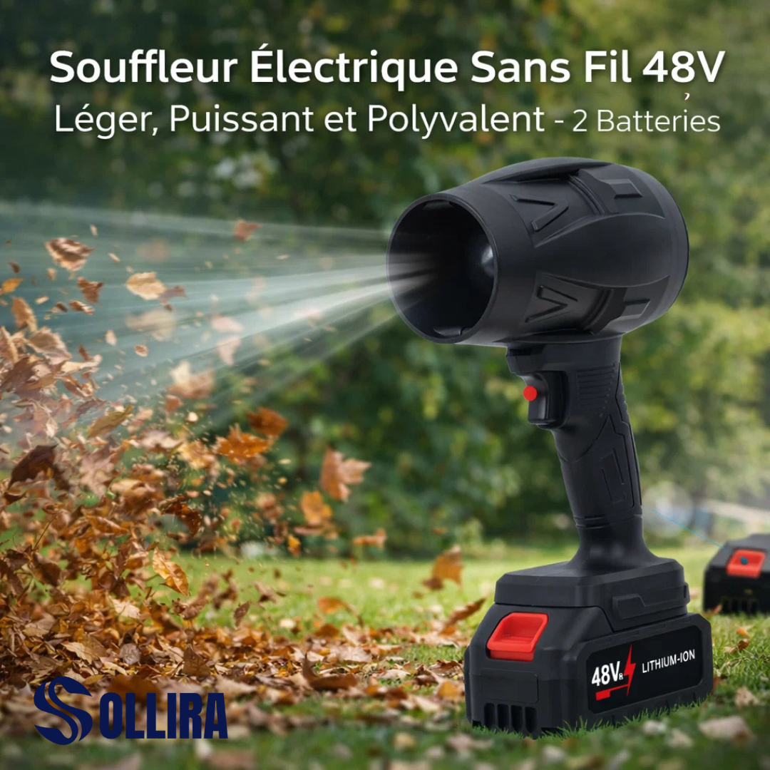 Souffleur Électrique Sans Fil 48V